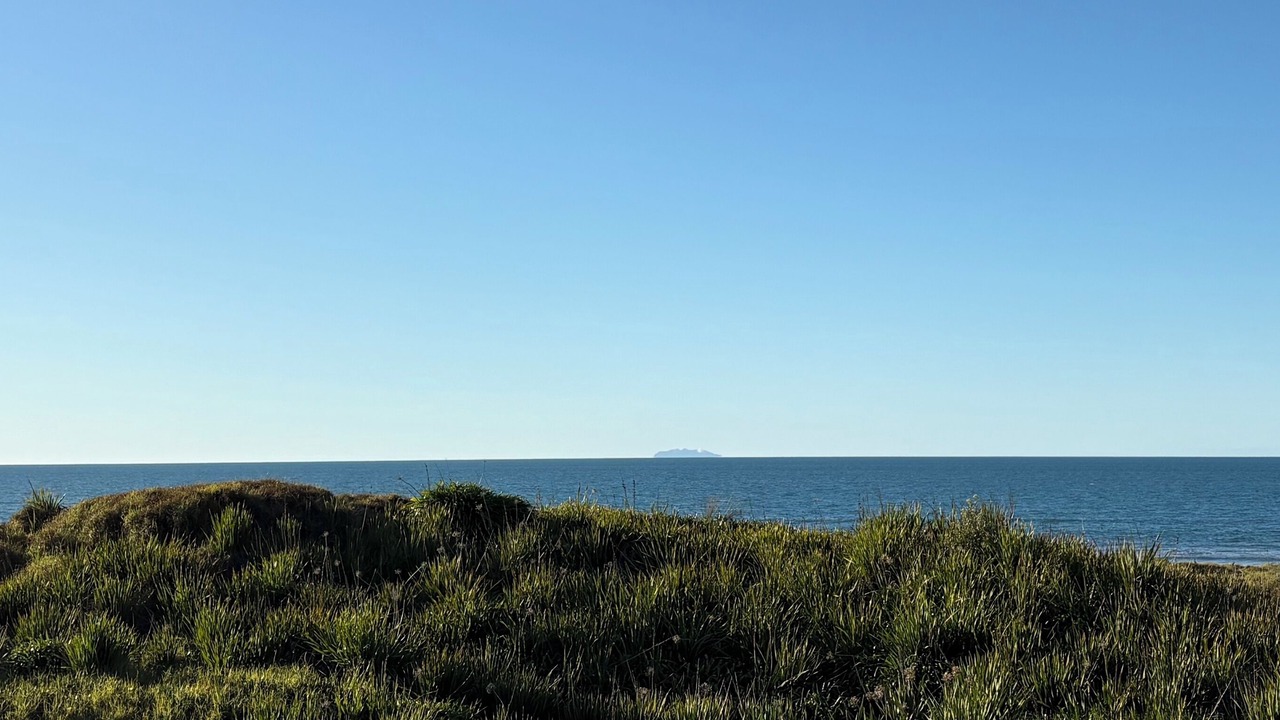 Photo of Others in Ohope