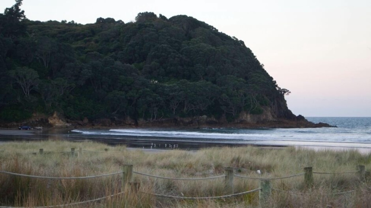 Photo of Others in Waihi Beach