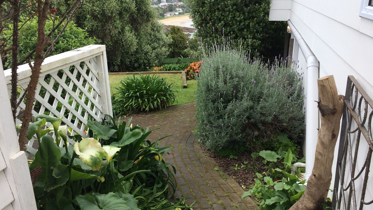 Photo of Outdoor in Oneroa