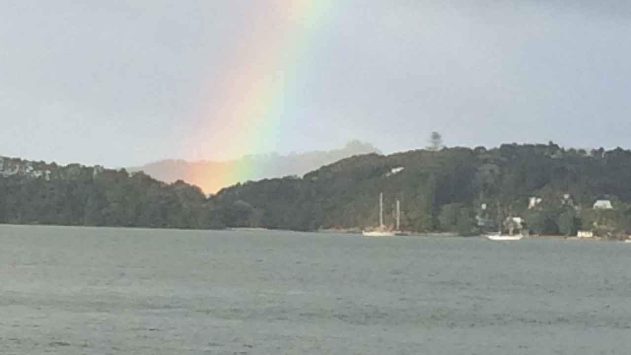 Photo of Others in Paihia