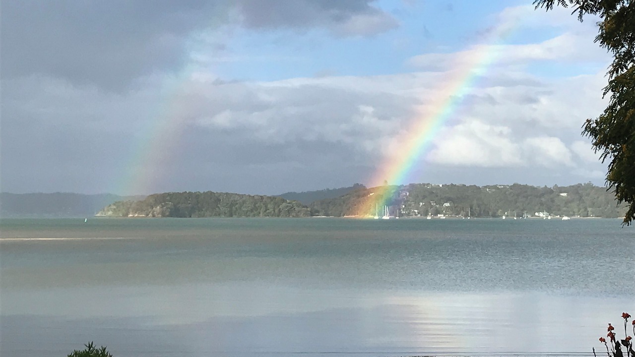 Photo of Bedroom in Paihia