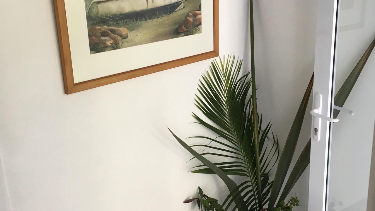 Photo of Others in Paihia
