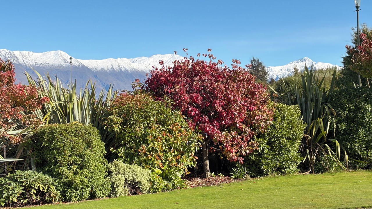 Photo of Outdoor in Wanaka