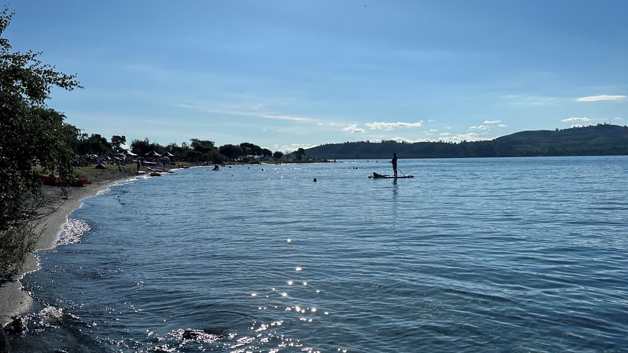 Photo of Others in Wharewaka