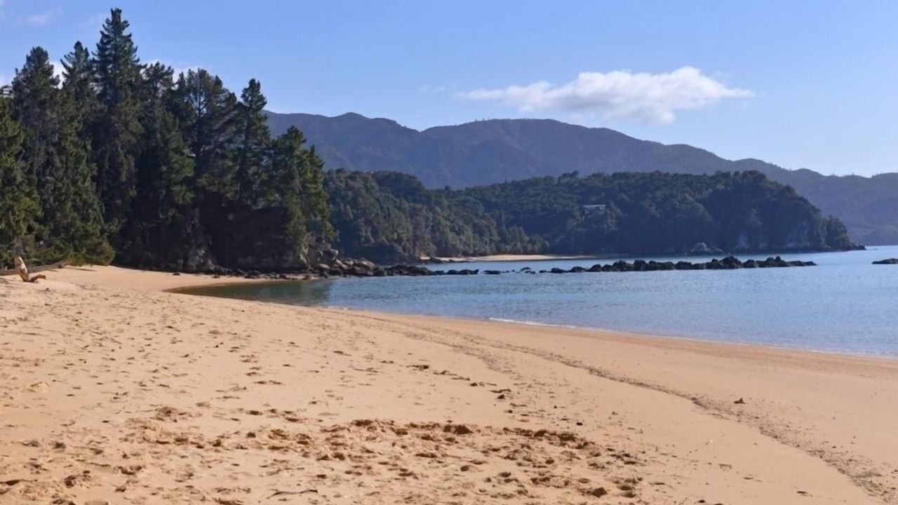 Photo of Others in Ngaio Bay