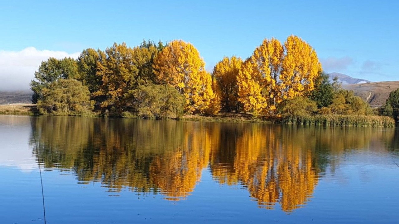 Photo of Others in Twizel