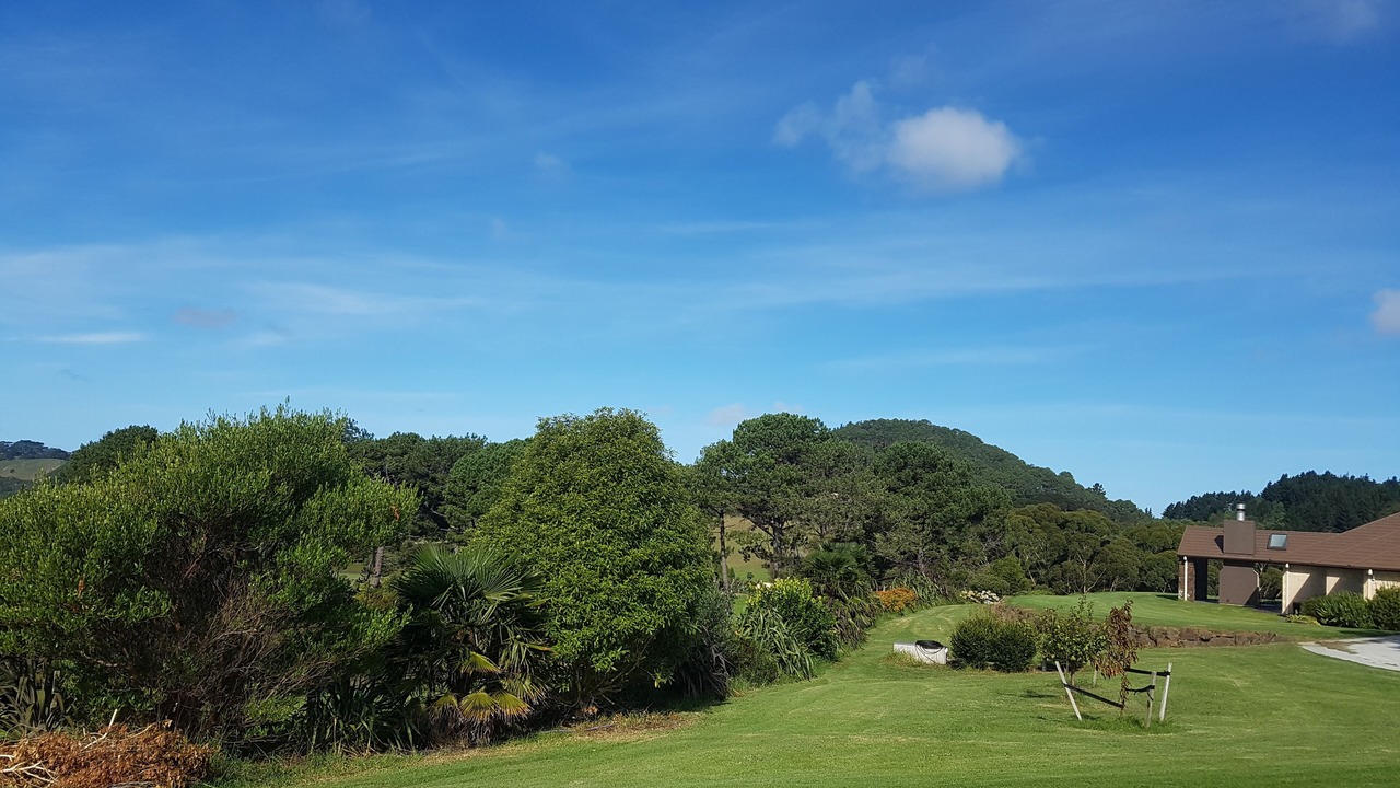 Photo of Outdoor in Cooks Beach