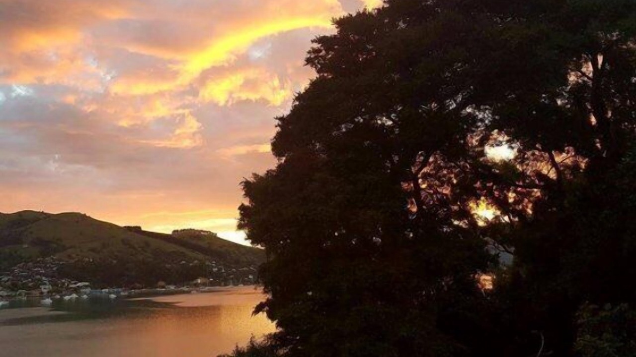 Photo of Others in Akaroa