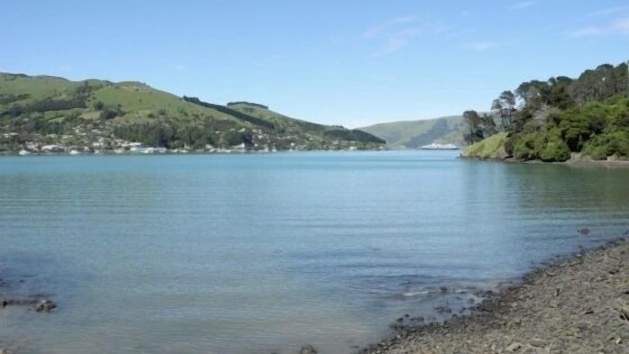 Photo of Others in Akaroa