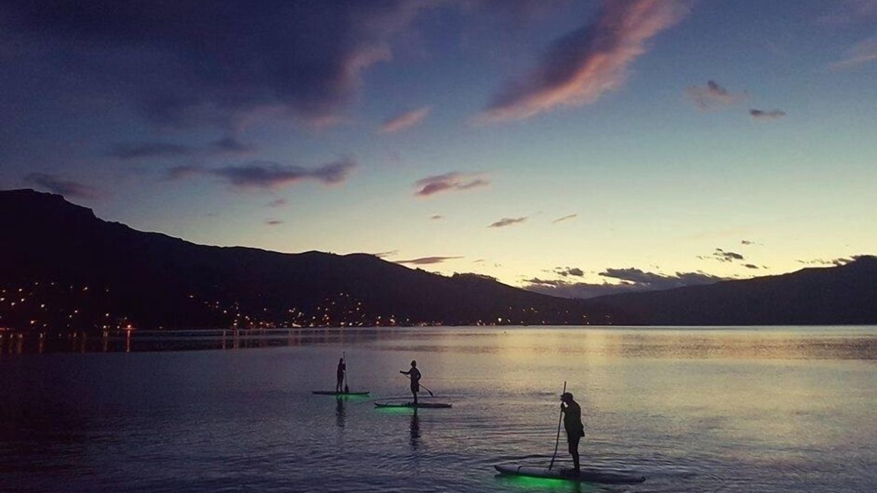 Photo of Others in Akaroa