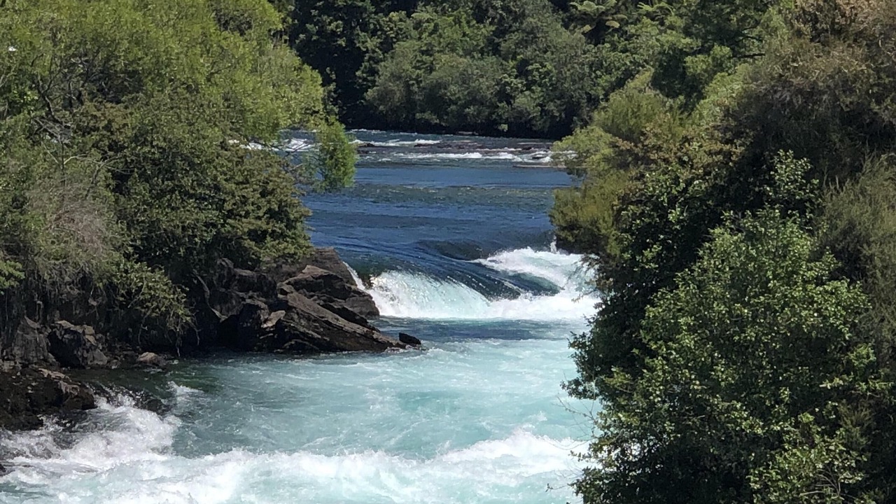 Photo of Outdoor in Taupo