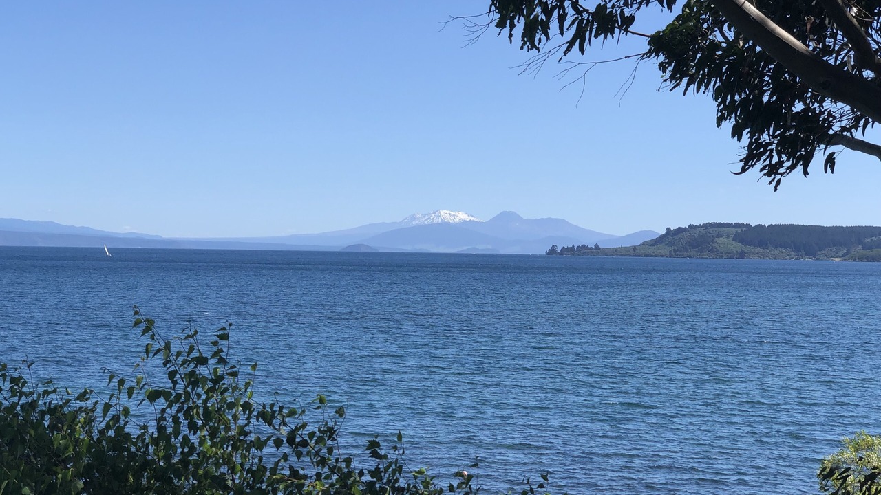 Photo of Others in Taupo