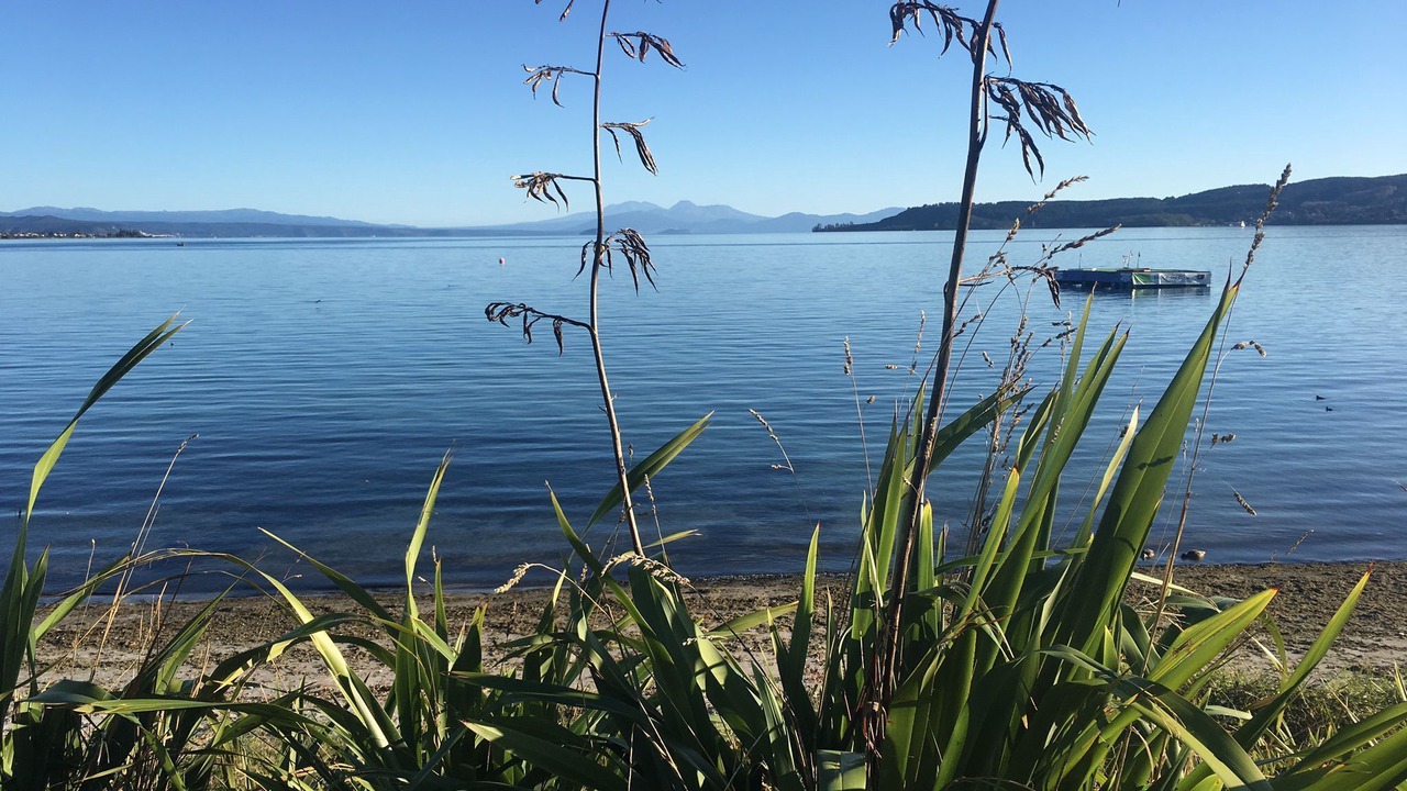 Photo of Others in Two Mile Bay