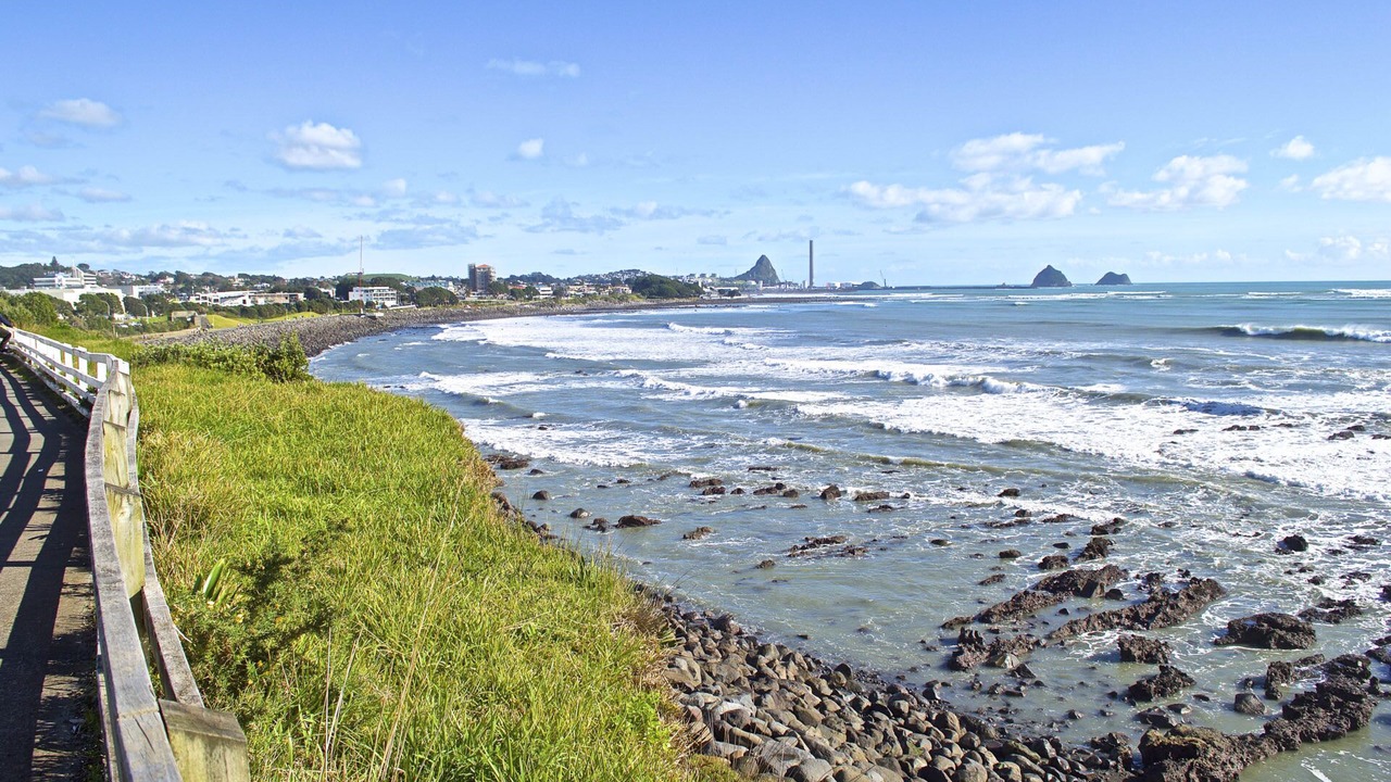 Photo of Others in New Plymouth