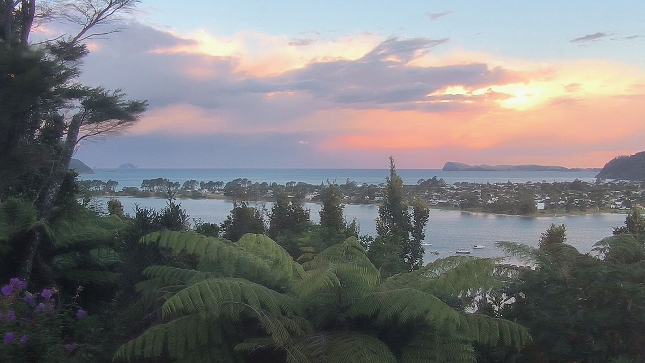 Photo of Others in Tairua