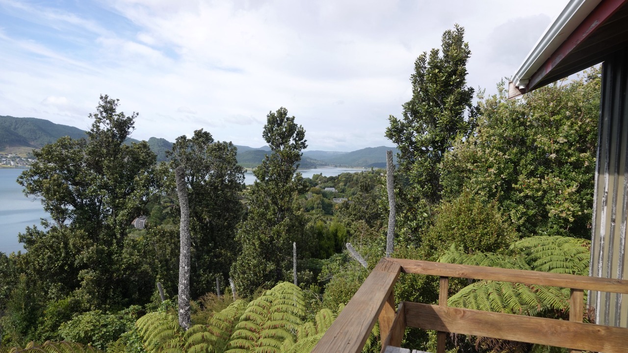 Photo of Outdoor in Tairua
