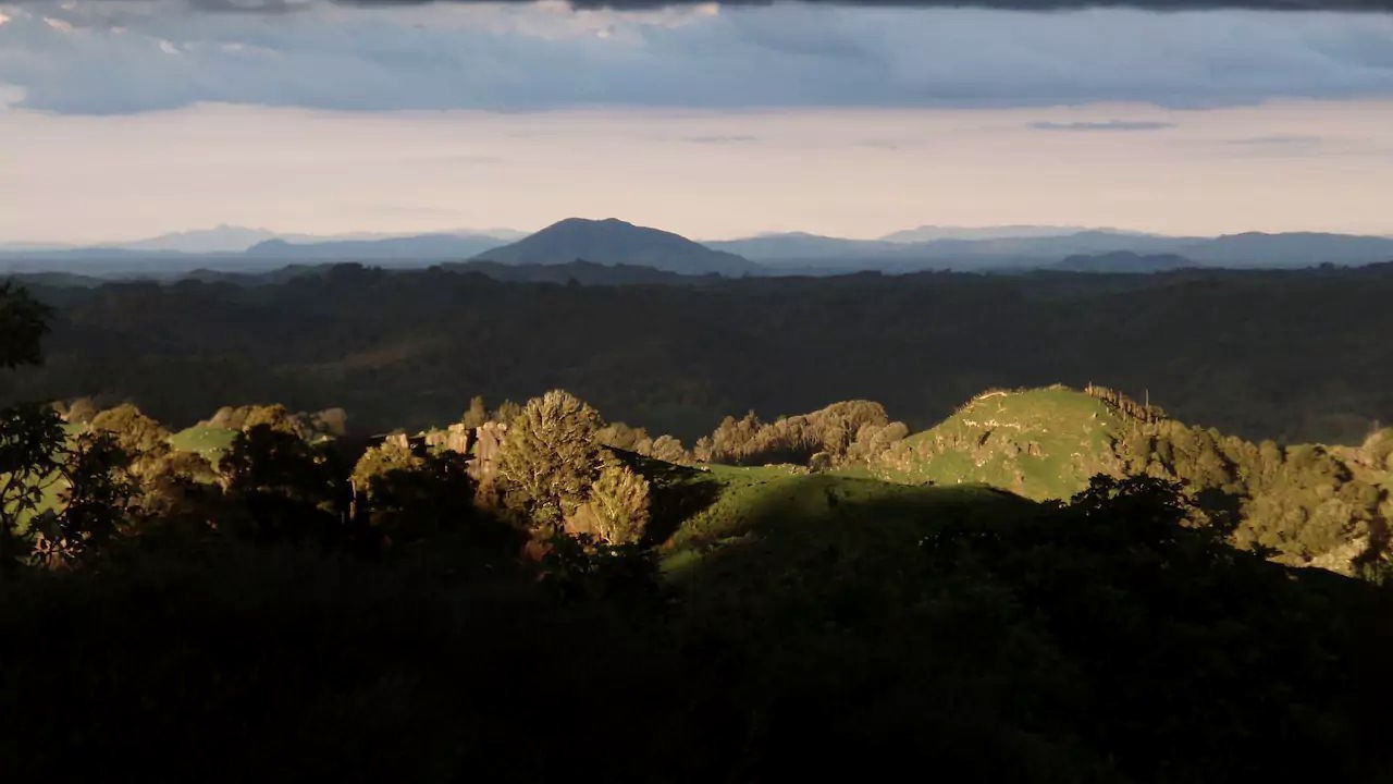 Photo of Others in Waitomo Caves
