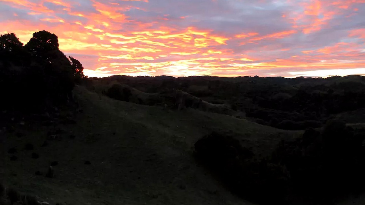 Photo of Others in Waitomo Caves