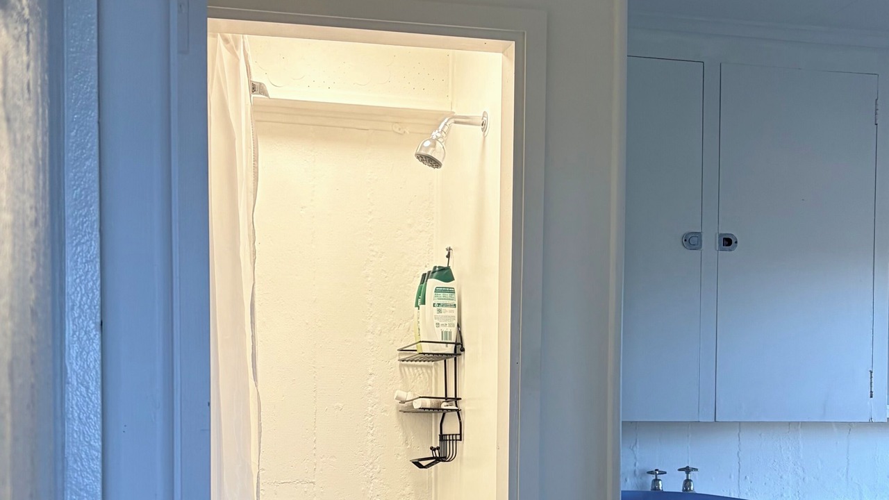Photo of Bathroom in South Dunedin