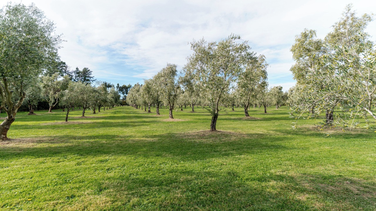 Photo of Others in Martinborough
