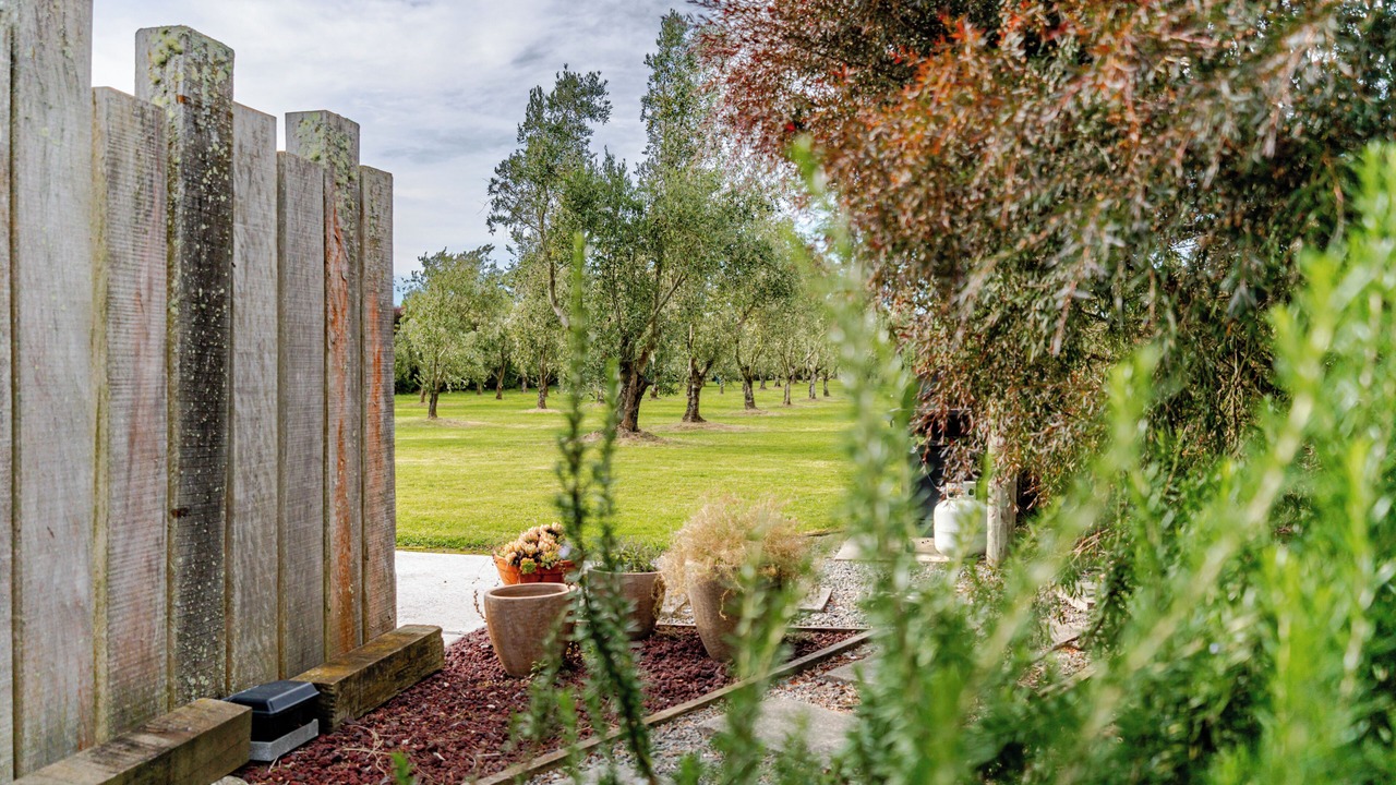 Photo of Outdoor in Martinborough