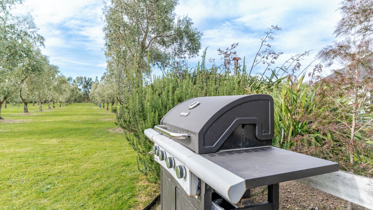 Photo of Outdoor in Martinborough