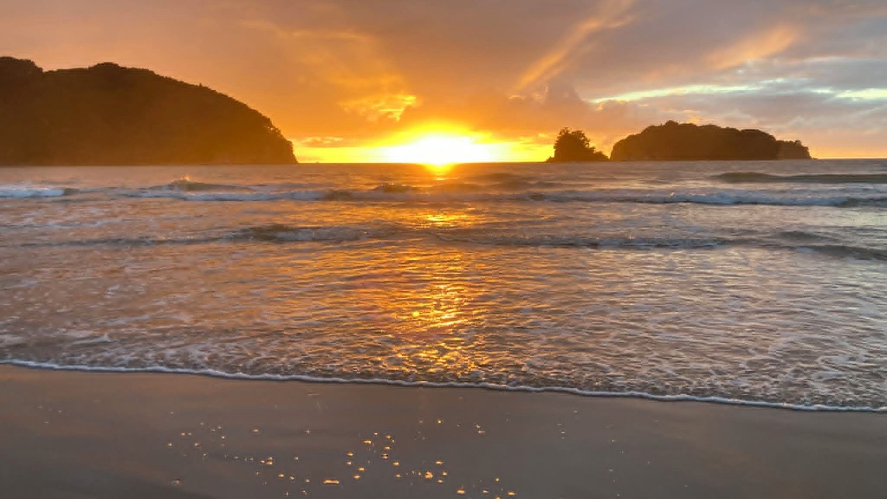 Photo of Others in Whangamata