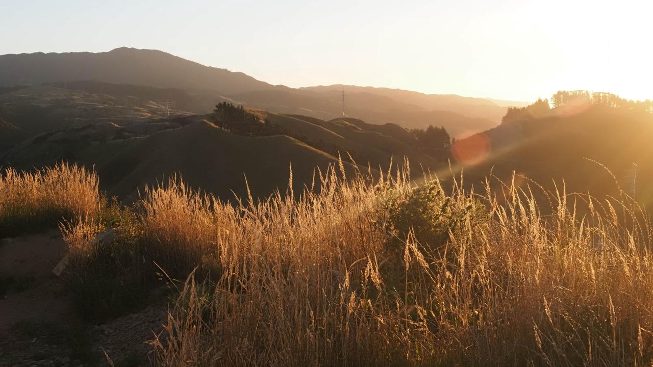 Photo of Others in Paraparaumu