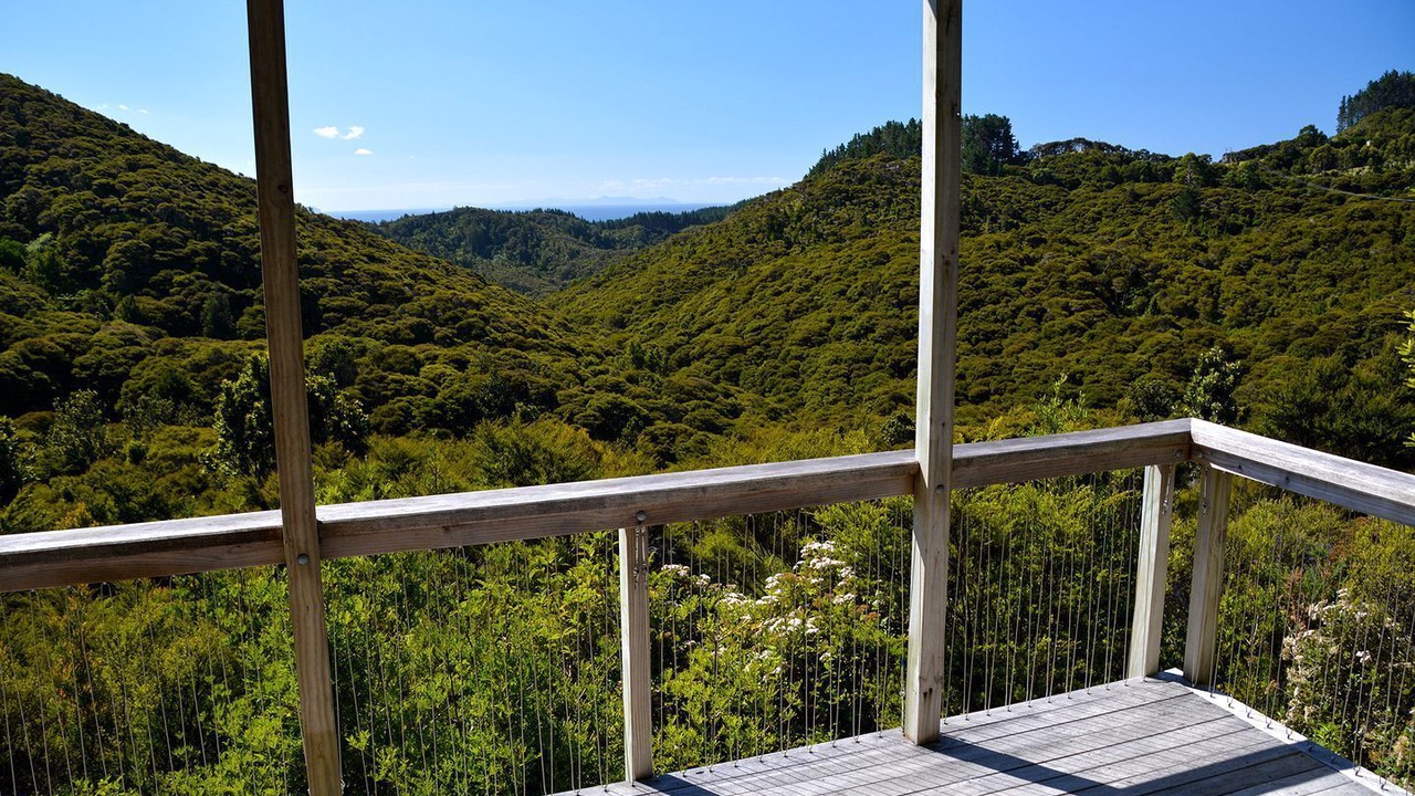 Photo of Outdoor in Kuaotunu