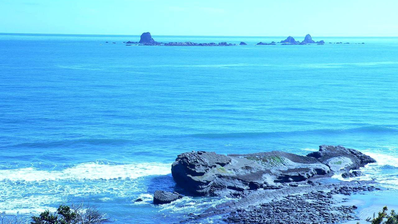 Photo of Others in Cape Foulwind