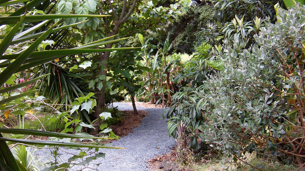 Photo of Outdoor in Northland