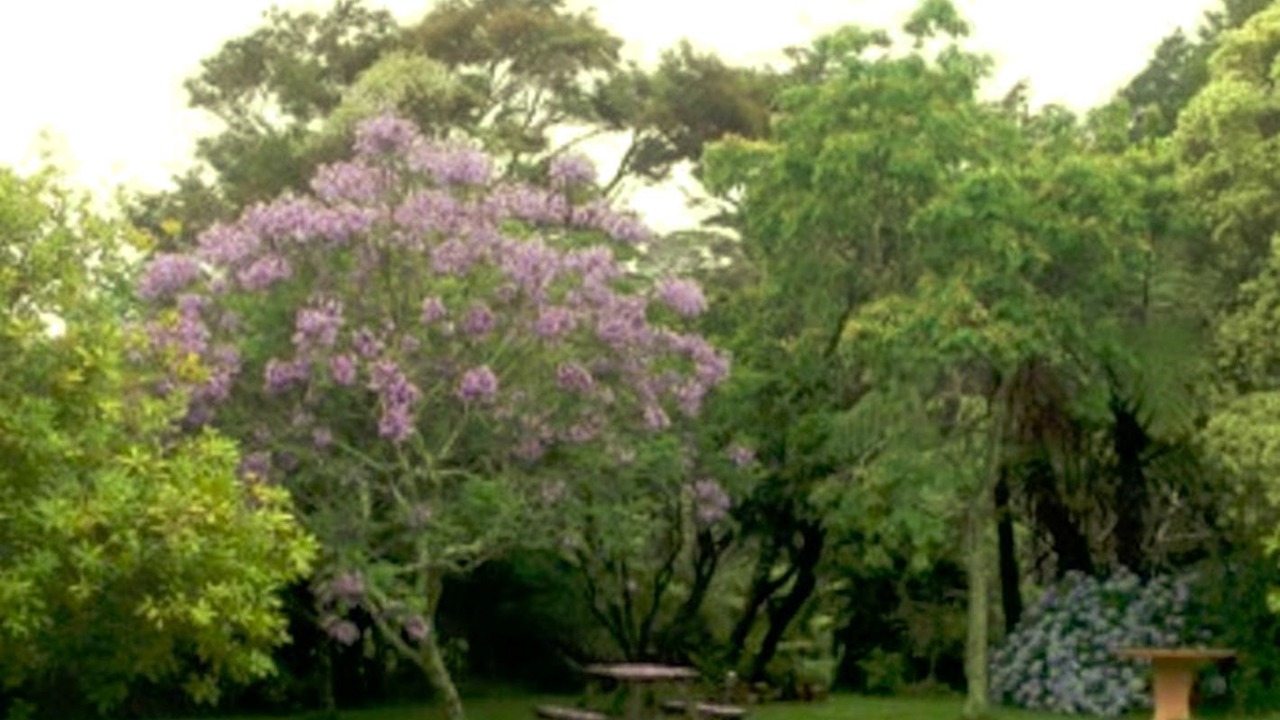 Photo of Outdoor in Kuaotunu
