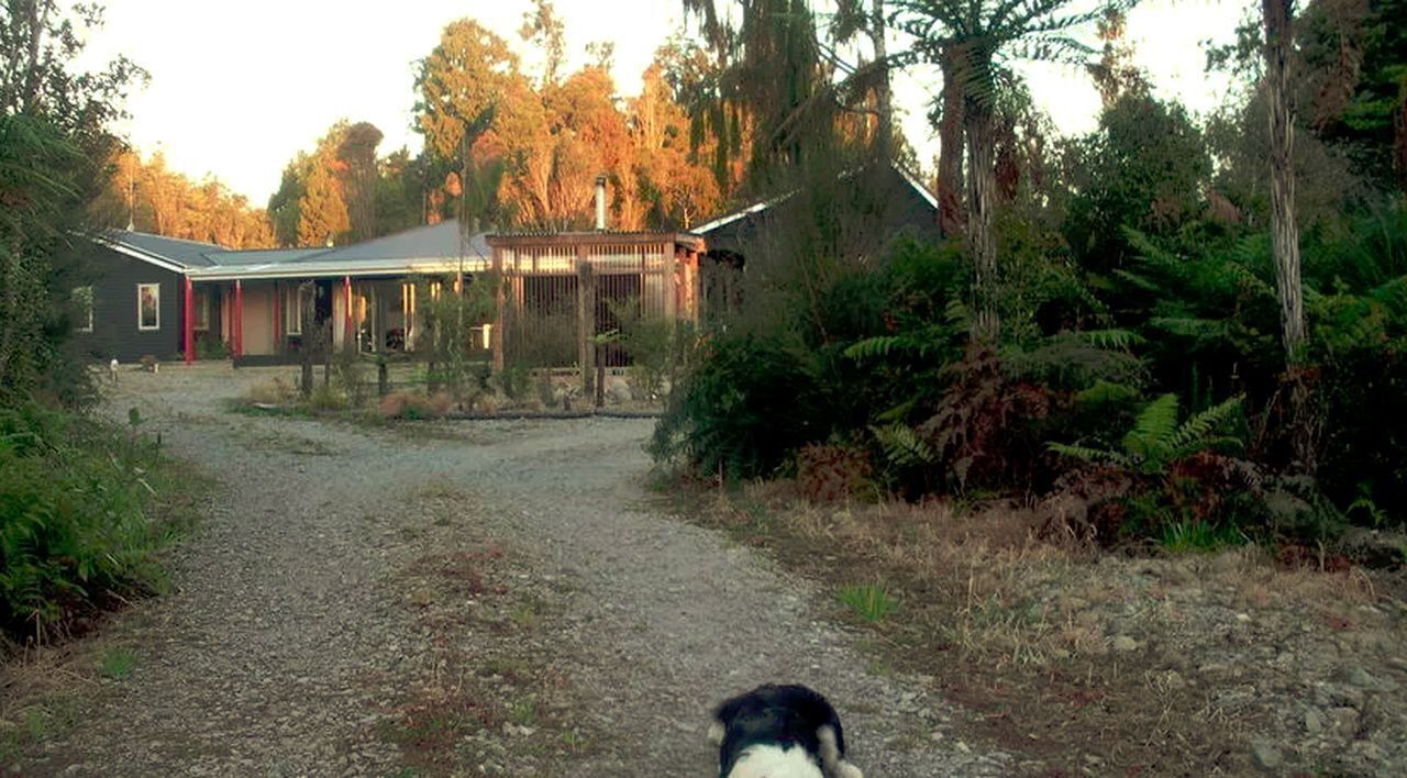 Photo of Outdoor in Hokitika