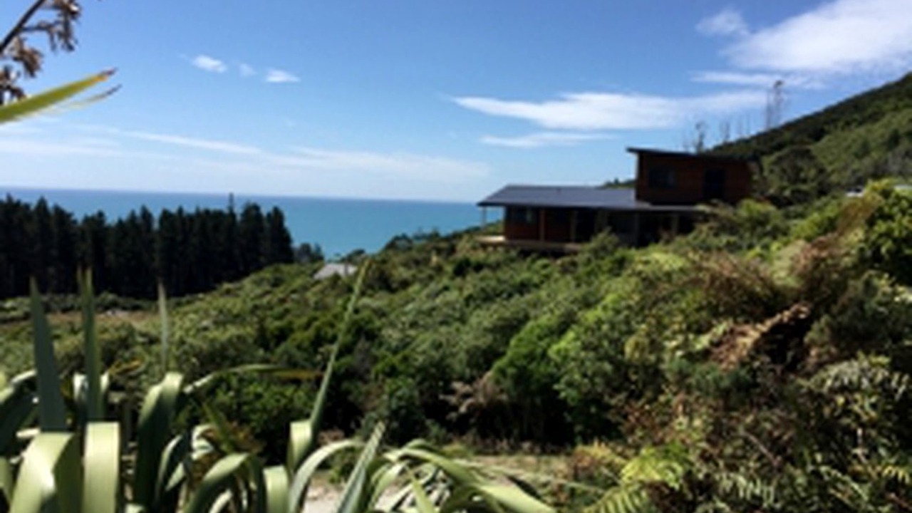 Photo of Outdoor in Paparoa National Park
