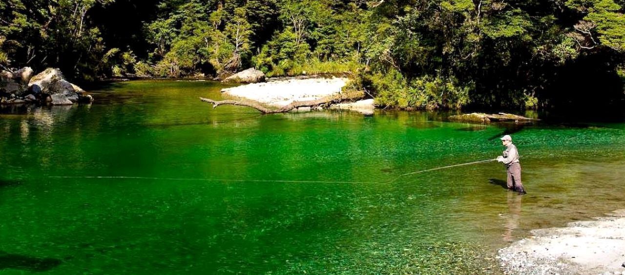 Photo of Others in Te Anau