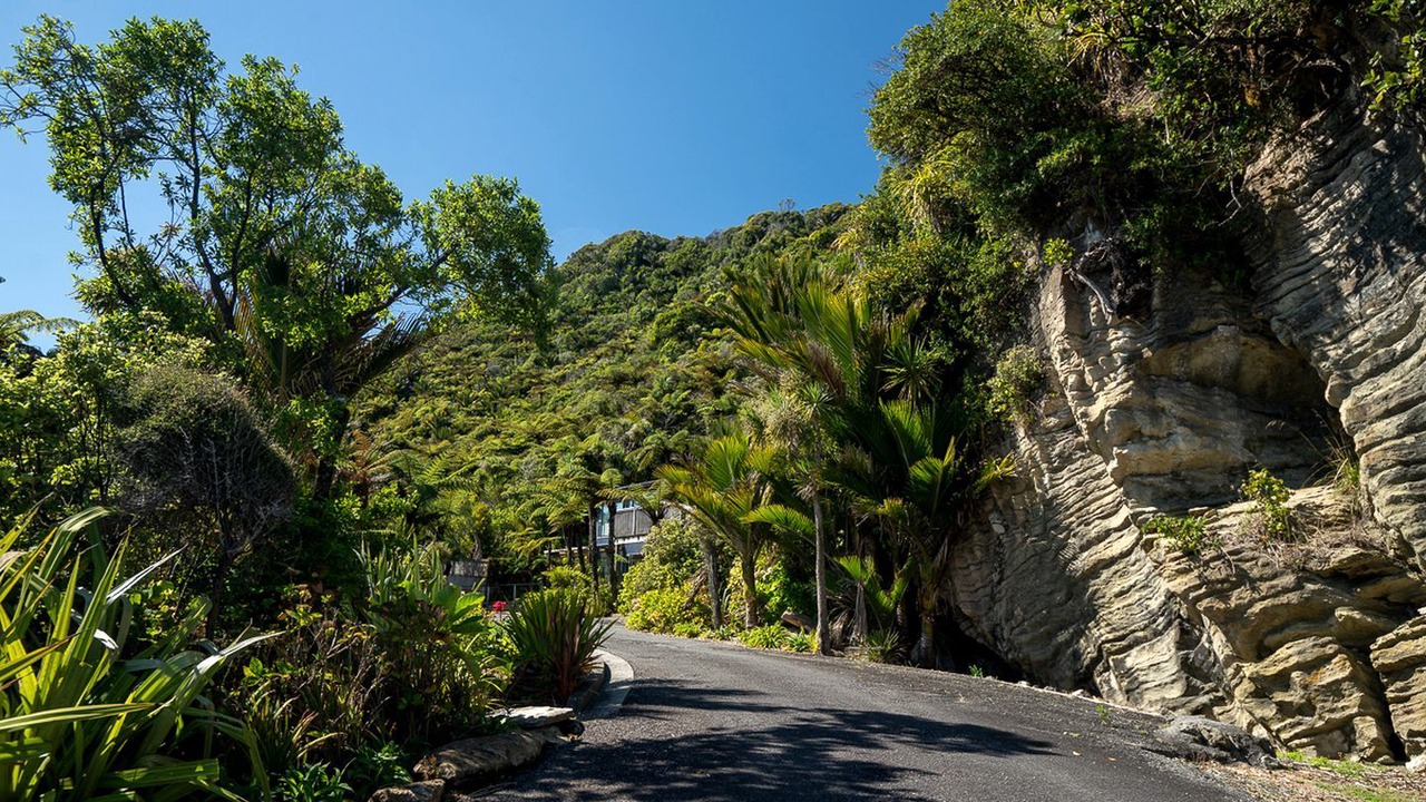 Photo of Others in Punakaiki