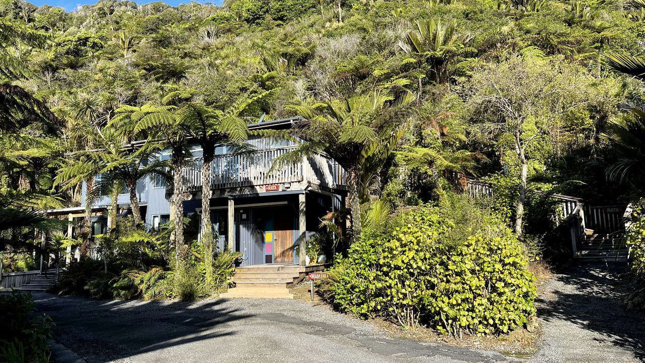 Photo of Outdoor in Punakaiki