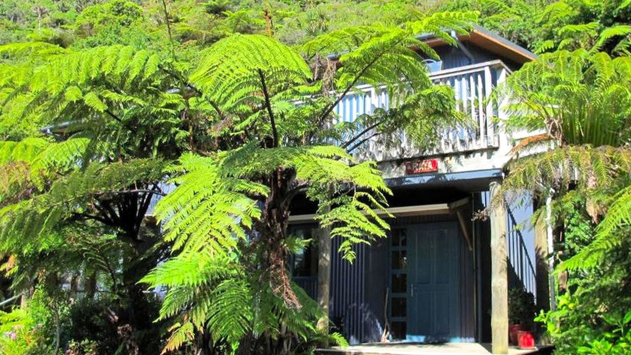 Photo of Outdoor in Punakaiki