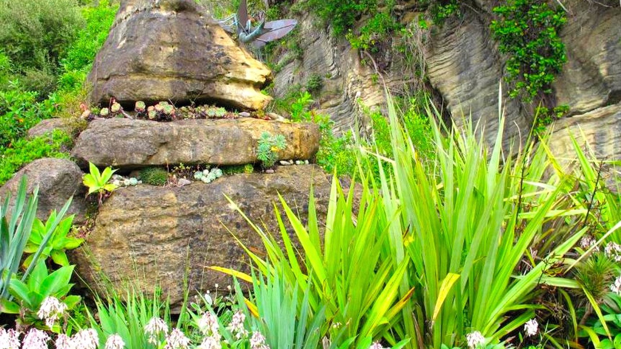 Photo of Outdoor in Punakaiki