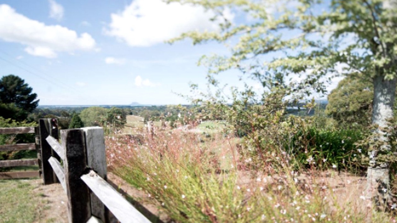 Photo of Outdoor in Whakamarama