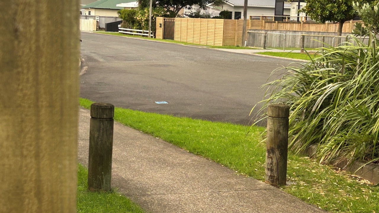 Photo of Outdoor in Whitianga