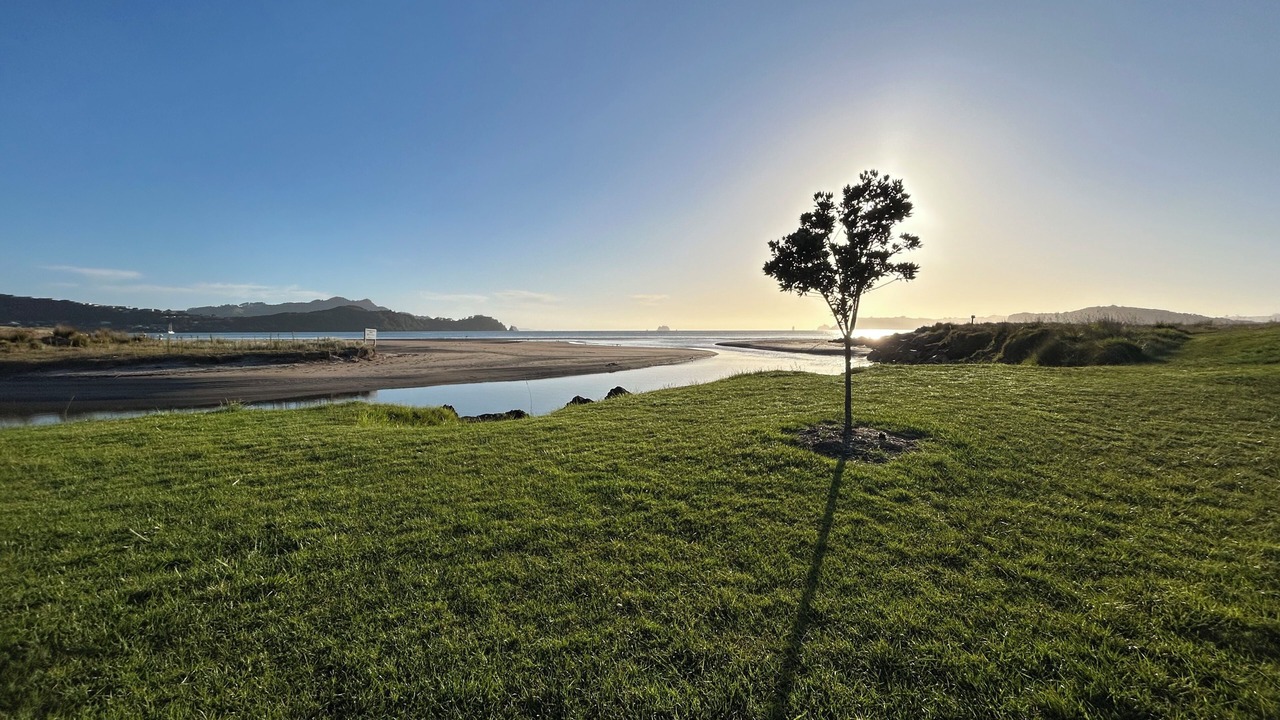 Photo of Others in Whitianga