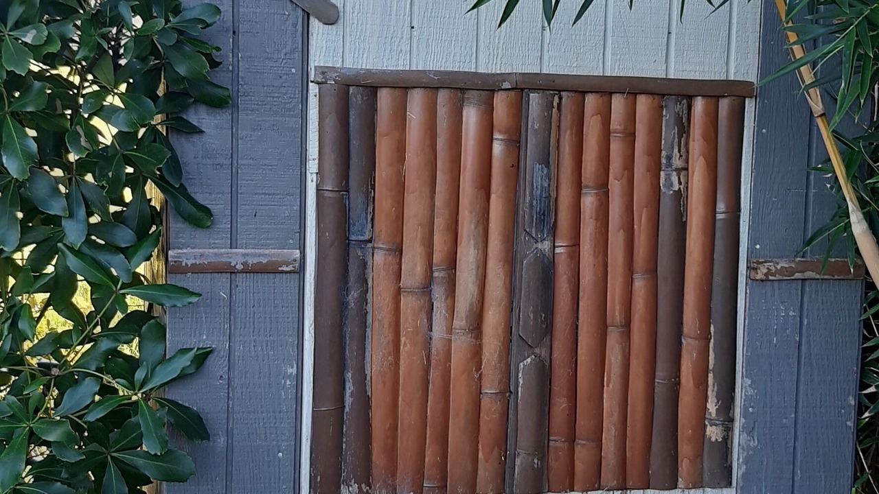Photo of Outdoor in Wharekaho