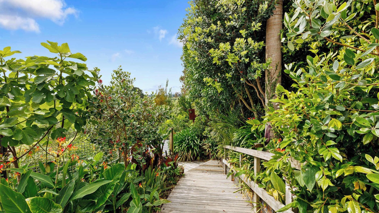 Photo of Outdoor in Oakura