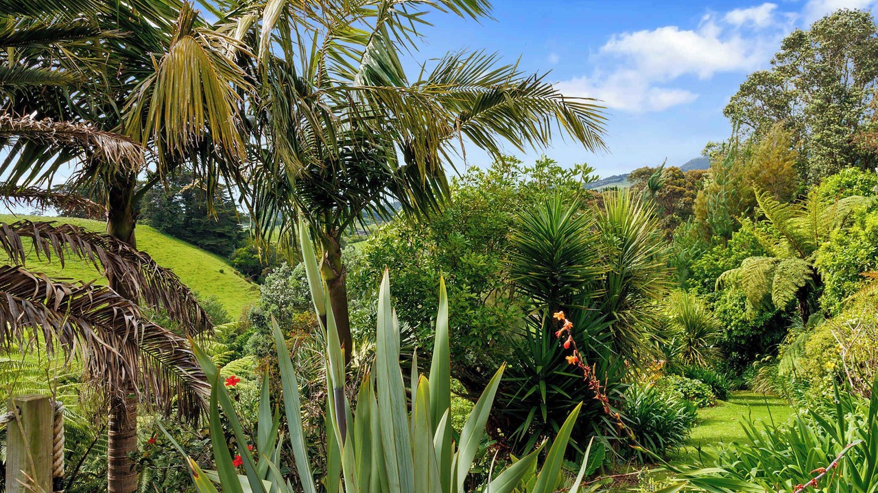 Photo of Outdoor in Oakura