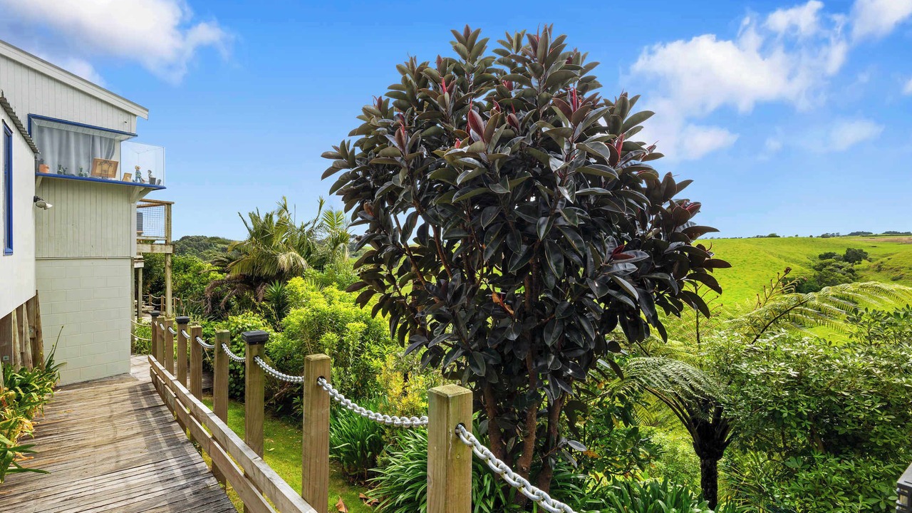 Photo of Outdoor in Oakura