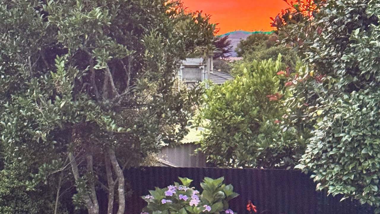 Photo of Outdoor in Taupo