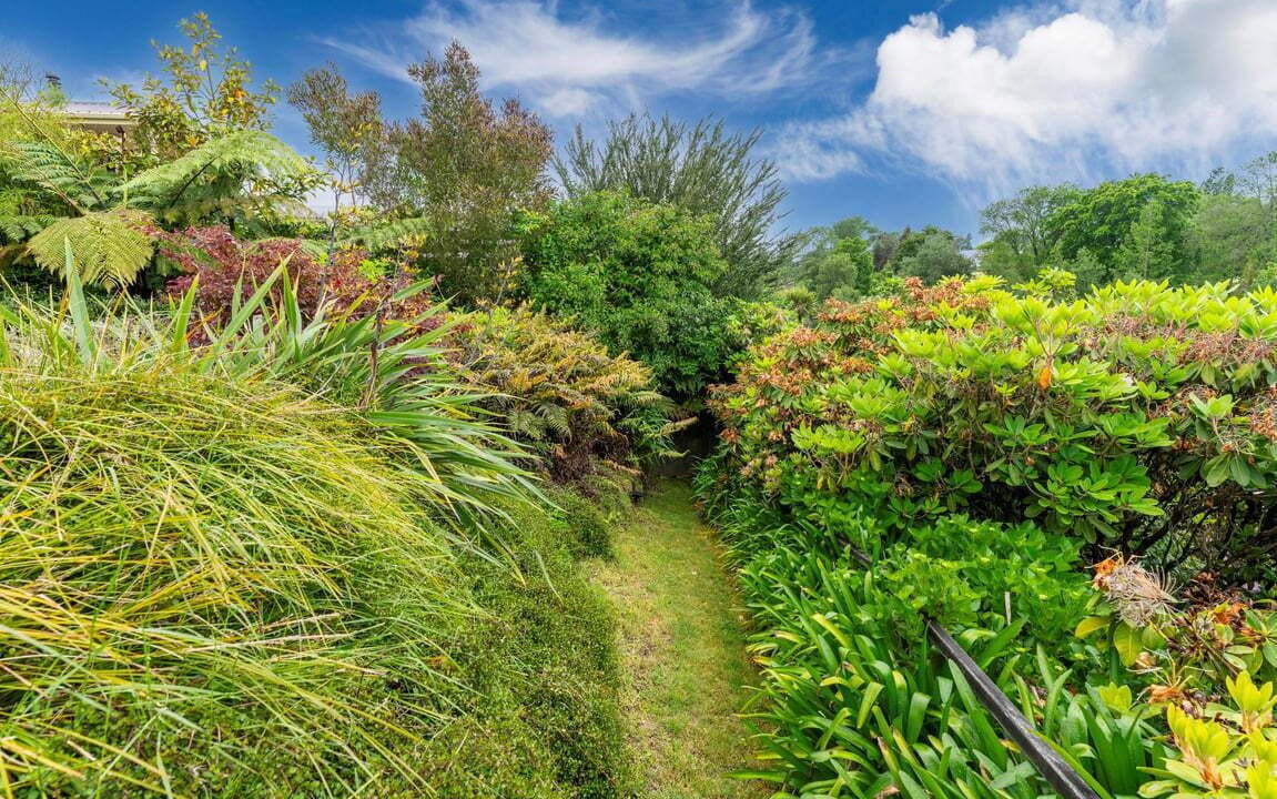 Photo of Outdoor in Nukuhau
