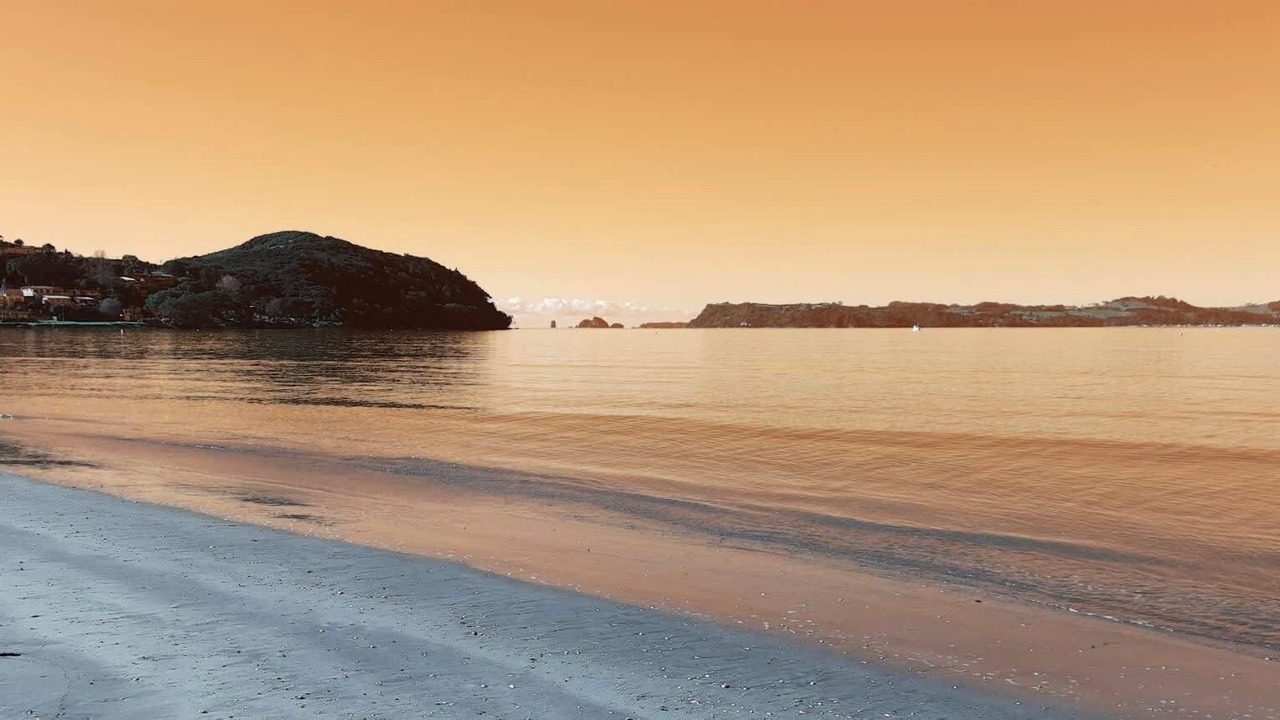 Photo of Others in Whitianga