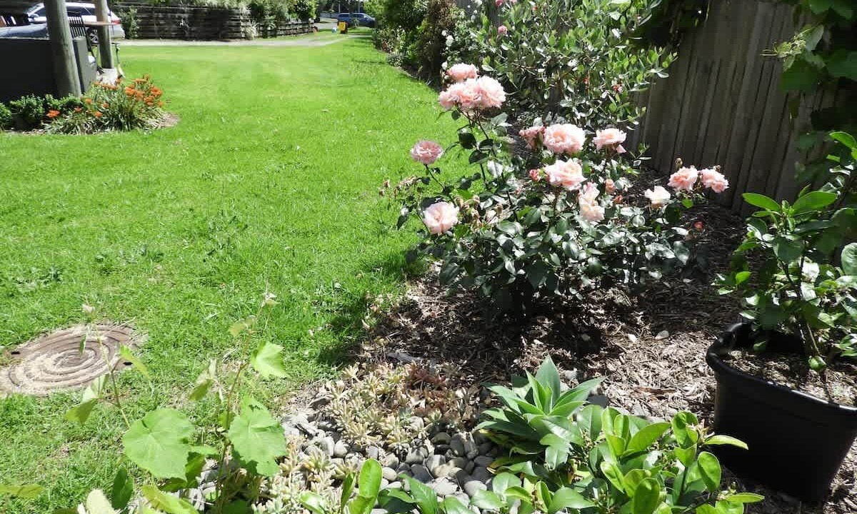 Photo of Outdoor in Whitianga